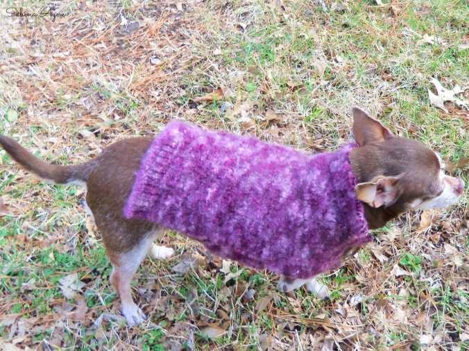 My new sweater, version 2. Mom still has a few kinks to work out but since it's felted wool, it is really warm!