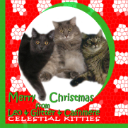 Celestial Kitties 2015 Holiday ECard