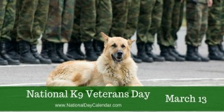 National-K9-Veterans-Day-March-13-768x384