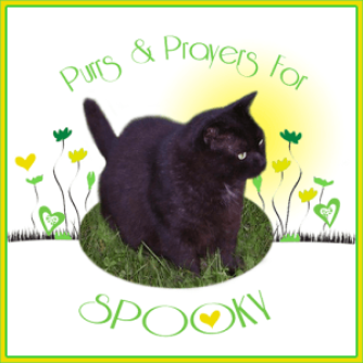Purrs-and-Prayers-for-SPOOKY