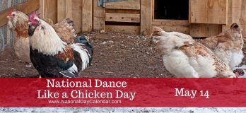 National-Dance-Like-a-Chicken-Day-May-14-1024x512