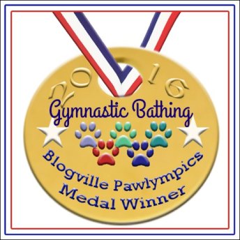 2016 gymnastic bathing