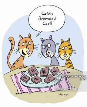 Catnip Brownies - Cool!