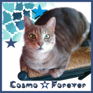 Cosmos-FOREVER-1