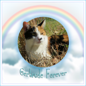 Gertrude-FOREVER-1